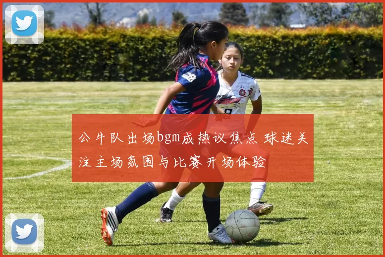 公牛队出场bgm成热议焦点 球迷关注主场氛围与比赛开场体验