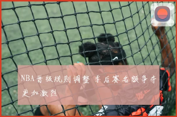 NBA晋级规则调整 季后赛名额争夺更加激烈
