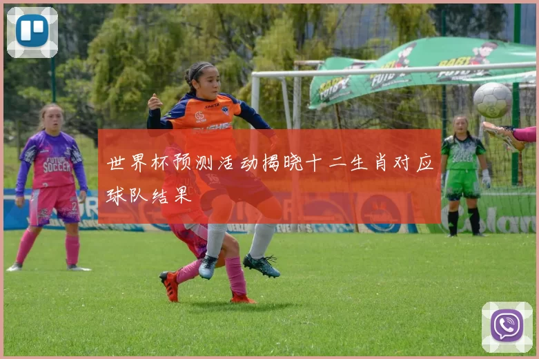 世界杯预测活动揭晓十二生肖对应球队结果