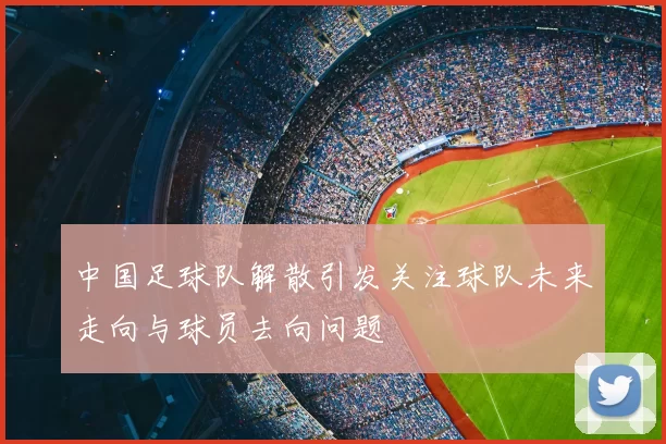 中国足球队解散引发关注球队未来走向与球员去向问题