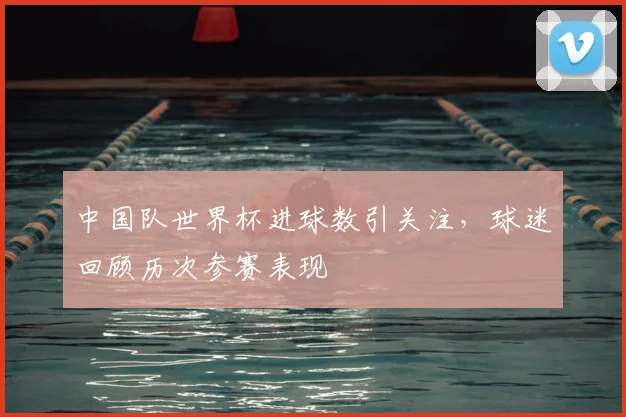 中国队世界杯进球数引关注,球迷回顾历次参赛表现