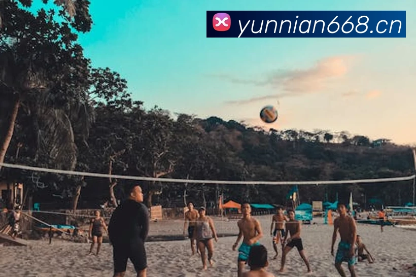 App Interface Preview