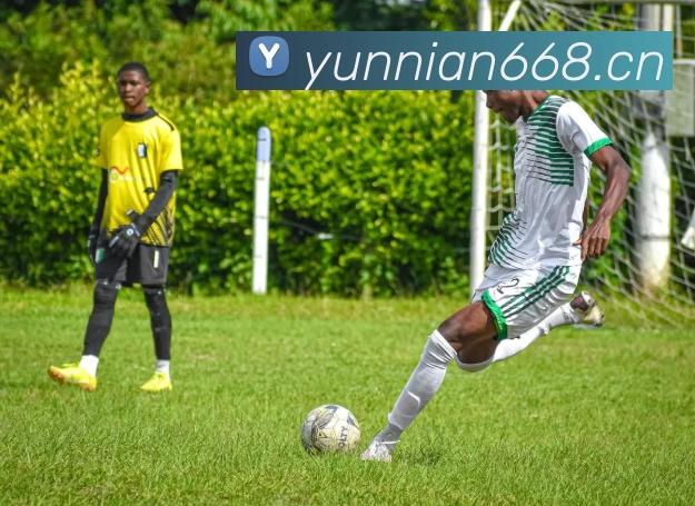 九游·官方版web站入口 - Jiuyou j9(中国)APP 封面图